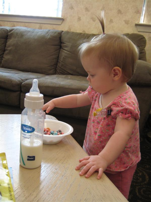 SW (26).JPG - Not too tired to eat some of these tasty morsels though!?... :o)